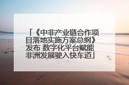 《中非产业链合作项目落地实施方案总纲》发布 数字化平台赋能非洲发展驶入快车道