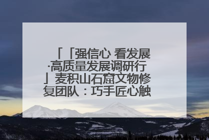 「强信心 看发展·高质量发展调研行」麦积山石窟文物修复团队：巧手匠心触摸“光阴的故事”