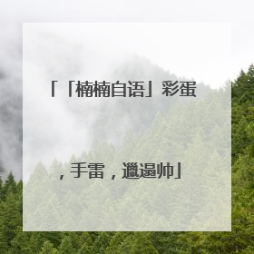 「楠楠自语」彩蛋，手雷，邋遢帅