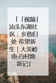 「视频」汕头东湖社区：乡愁归处 希望新生｜大美岭南·百村焕新记