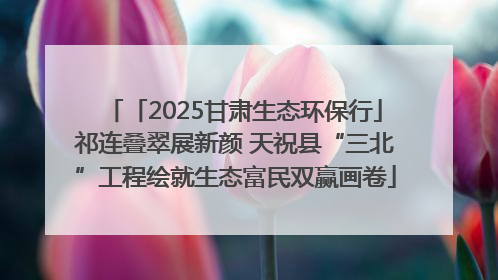「2025甘肃生态环保行」祁连叠翠展新颜 天祝县“三北”工程绘就生态富民双赢画卷