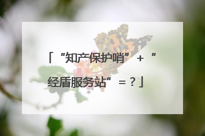 “知产保护哨”+“经盾服务站”=？