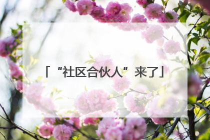“社区合伙人”来了