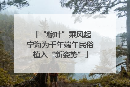 “粽叶”乘风起 宁海为千年端午民俗植入“新姿势”