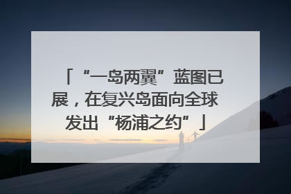 “一岛两翼”蓝图已展，在复兴岛面向全球发出“杨浦之约”