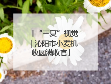 “三夏”视觉｜沁阳市小麦机收圆满收官