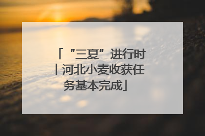 “三夏”进行时丨河北小麦收获任务基本完成
