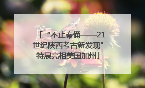 “不止秦俑——21世纪陕西考古新发现”特展亮相美国加州