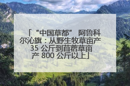 “中国草都” 阿鲁科尔沁旗：从野生牧草亩产 35 公斤到苜蓿草亩产 800 公斤以上