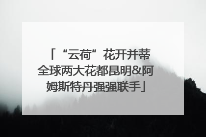 “云荷”花开并蒂 全球两大花都昆明&阿姆斯特丹强强联手