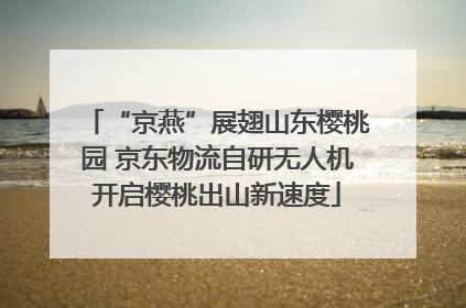 “京燕”展翅山东樱桃园 京东物流自研无人机开启樱桃出山新速度