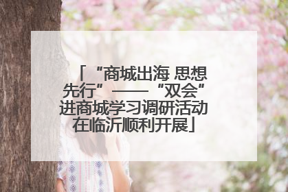 “商城出海 思想先行”——“双会”进商城学习调研活动在临沂顺利开展