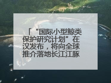 “国际小型鲸类保护研究计划”在汉发布，将向全球推介落地长江江豚保护经验