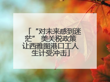 “对未来感到迷茫” 美关税政策让西雅图港口工人生计受冲击