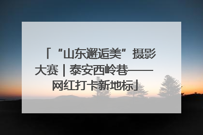 “山东邂逅美”摄影大赛｜泰安西岭巷——网红打卡新地标