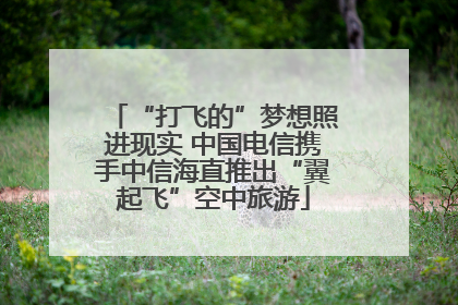 “打飞的”梦想照进现实 中国电信携手中信海直推出“翼起飞”空中旅游