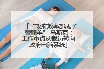 “政府效率部成了替罪羊” 马斯克：工作重点从裁员转向政府电脑系统