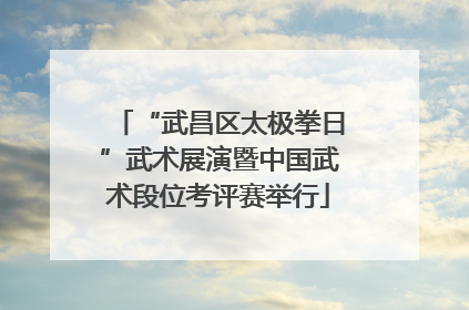 “武昌区太极拳日”武术展演暨中国武术段位考评赛举行
