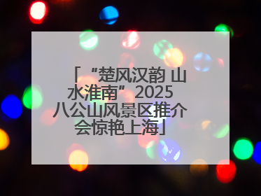 “楚风汉韵 山水淮南”2025八公山风景区推介会惊艳上海