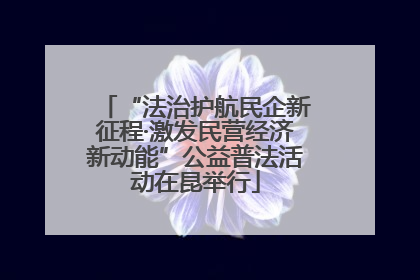 “法治护航民企新征程·激发民营经济新动能”公益普法活动在昆举行