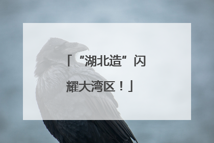 “湖北造”闪耀大湾区！