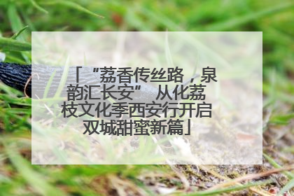 “荔香传丝路，泉韵汇长安” 从化荔枝文化季西安行开启双城甜蜜新篇