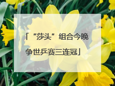 “莎头”组合今晚争世乒赛三连冠