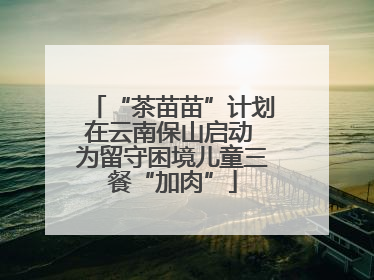 “茶苗苗”计划在云南保山启动 为留守困境儿童三餐“加肉”