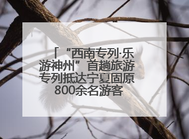 “西南专列·乐游神州”首趟旅游专列抵达宁夏固原 800余名游客开启清凉之旅