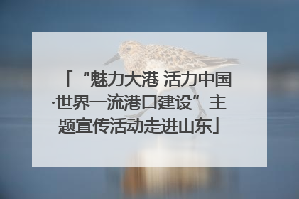 “魅力大港 活力中国·世界一流港口建设”主题宣传活动走进山东