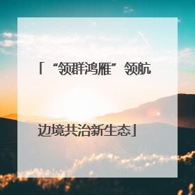 “领群鸿雁”领航边境共治新生态