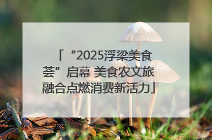 “2025浮梁美食荟”启幕 美食农文旅融合点燃消费新活力