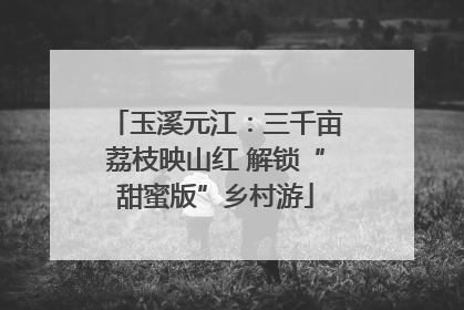 玉溪元江：三千亩荔枝映山红 解锁“甜蜜版”乡村游
