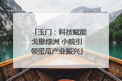 玉门：科技赋能戈壁绿洲 小院引领蜜瓜产业振兴