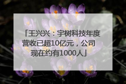 王兴兴：宇树科技年度营收已超10亿元，公司现在约有1000人