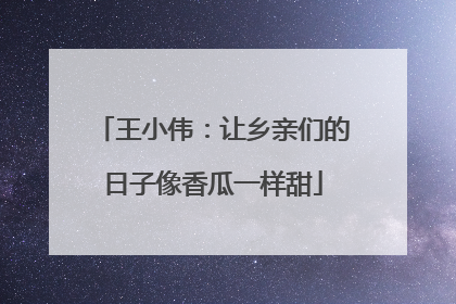 王小伟：让乡亲们的日子像香瓜一样甜