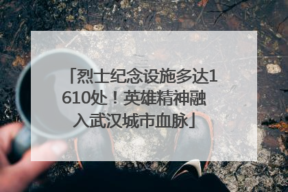 烈士纪念设施多达1610处！英雄精神融入武汉城市血脉