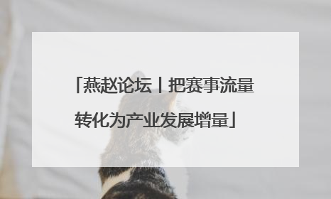 燕赵论坛丨把赛事流量转化为产业发展增量