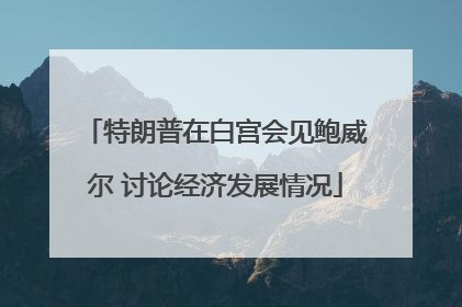 特朗普在白宫会见鲍威尔 讨论经济发展情况