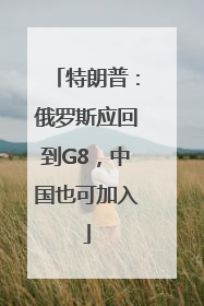 特朗普：俄罗斯应回到G8，中国也可加入