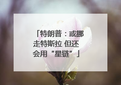 特朗普：或挪走特斯拉 但还会用“星链”