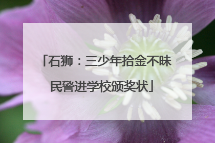 石狮：三少年拾金不昧 民警进学校颁奖状