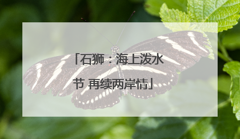 石狮：海上泼水节 再续两岸情
