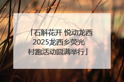石斛花开 悦动龙西 2025龙西乡荧光村跑活动圆满举行