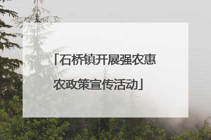 石桥镇开展强农惠农政策宣传活动