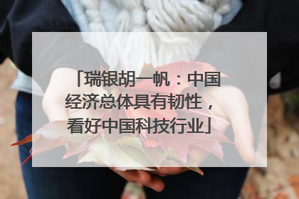 瑞银胡一帆：中国经济总体具有韧性，看好中国科技行业