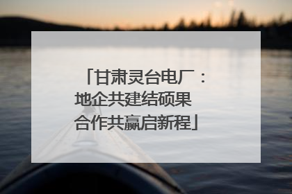 甘肃灵台电厂：地企共建结硕果 合作共赢启新程