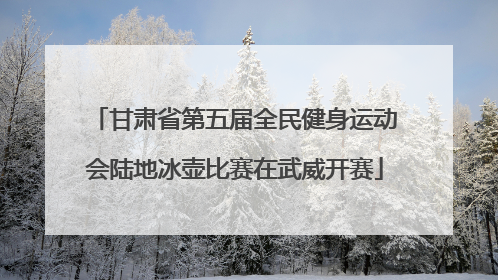 甘肃省第五届全民健身运动会陆地冰壶比赛在武威开赛