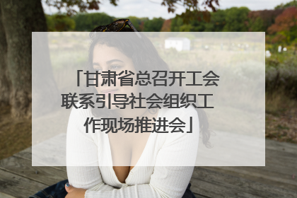 甘肃省总召开工会联系引导社会组织工作现场推进会