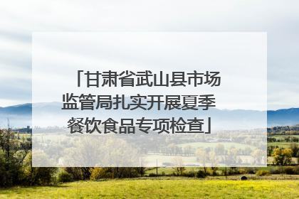 甘肃省武山县市场监管局扎实开展夏季餐饮食品专项检查